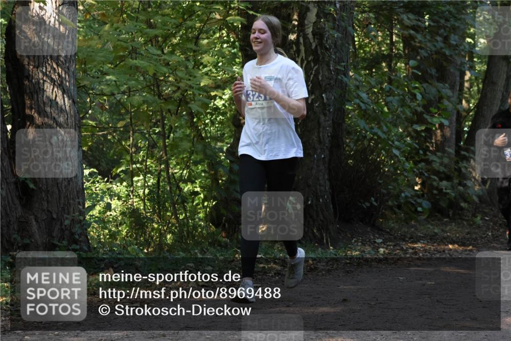 28.09.2025 - 33. Volkslauf durch das schöne Alstertal Strokosch-Dieckow http://msf.ph/oto/8969488 28.09.2025 11:28:57 Laufen 325 meine-sportfotos.de