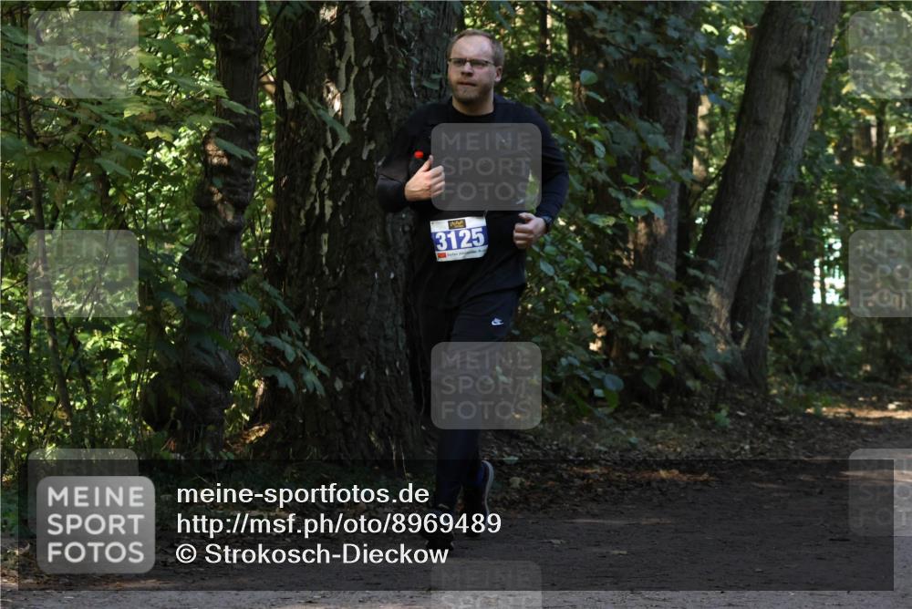 28.09.2025 - 33. Volkslauf durch das schöne Alstertal Strokosch-Dieckow http://msf.ph/oto/8969489 28.09.2025 11:29:00 Laufen 3125 meine-sportfotos.de