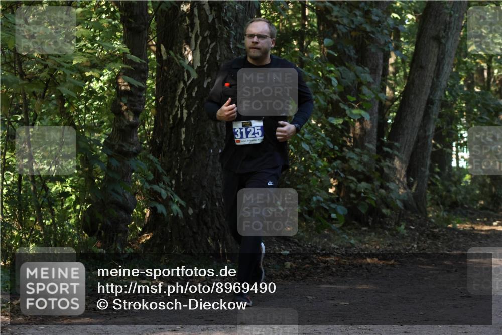 28.09.2025 - 33. Volkslauf durch das schöne Alstertal Strokosch-Dieckow http://msf.ph/oto/8969490 28.09.2025 11:29:00 Laufen 3125 meine-sportfotos.de