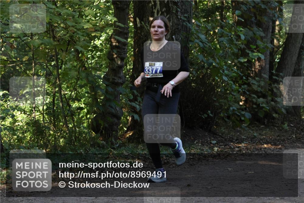 28.09.2025 - 33. Volkslauf durch das schöne Alstertal Strokosch-Dieckow http://msf.ph/oto/8969491 28.09.2025 11:29:04 Laufen 3377 meine-sportfotos.de