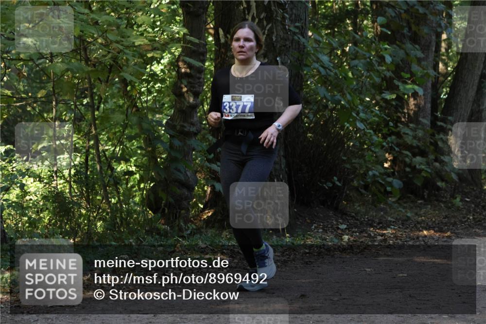 28.09.2025 - 33. Volkslauf durch das schöne Alstertal Strokosch-Dieckow http://msf.ph/oto/8969492 28.09.2025 11:29:04 Laufen 3377 meine-sportfotos.de