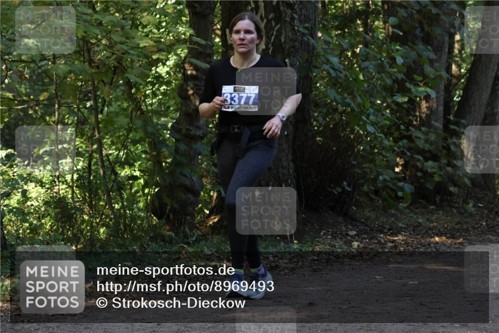 28.09.2025 - 33. Volkslauf durch das schöne Alstertal Strokosch-Dieckow http://msf.ph/oto/8969493 28.09.2025 11:29:04 Laufen 3377 meine-sportfotos.de