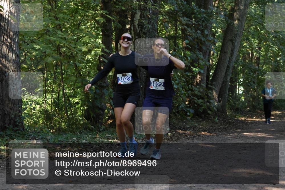 28.09.2025 - 33. Volkslauf durch das schöne Alstertal Strokosch-Dieckow http://msf.ph/oto/8969496 28.09.2025 11:29:13 Laufen 3023, 3022 meine-sportfotos.de