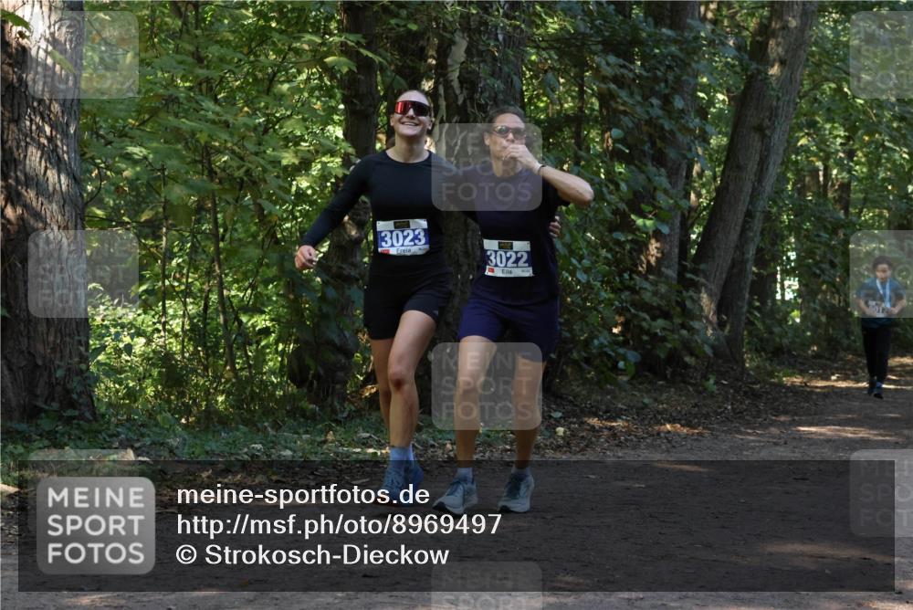 28.09.2025 - 33. Volkslauf durch das schöne Alstertal Strokosch-Dieckow http://msf.ph/oto/8969497 28.09.2025 11:29:13 Laufen 3023, 3022 meine-sportfotos.de