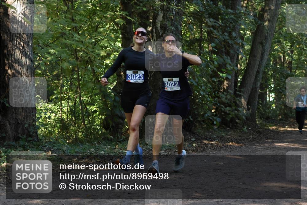 28.09.2025 - 33. Volkslauf durch das schöne Alstertal Strokosch-Dieckow http://msf.ph/oto/8969498 28.09.2025 11:29:13 Laufen 3023, 3022 meine-sportfotos.de
