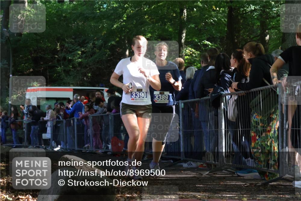 28.09.2025 - 33. Volkslauf durch das schöne Alstertal Strokosch-Dieckow http://msf.ph/oto/8969500 28.09.2025 11:50:15 Ziel 3389, 3390 meine-sportfotos.de