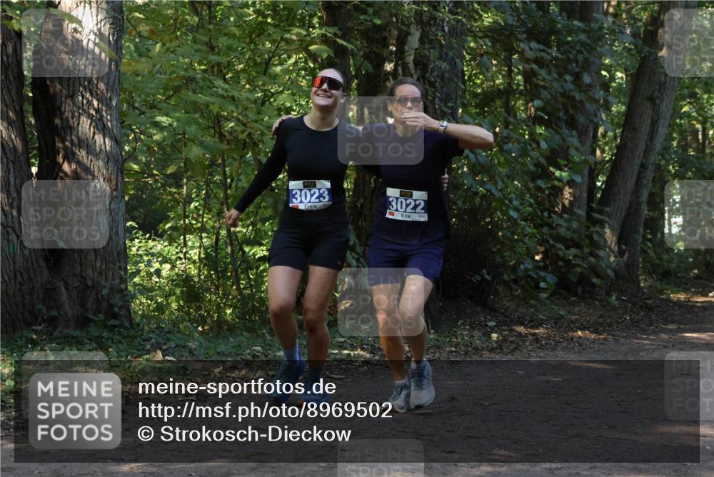 28.09.2025 - 33. Volkslauf durch das schöne Alstertal Strokosch-Dieckow http://msf.ph/oto/8969502 28.09.2025 11:29:14 Laufen 3023, 3022 meine-sportfotos.de