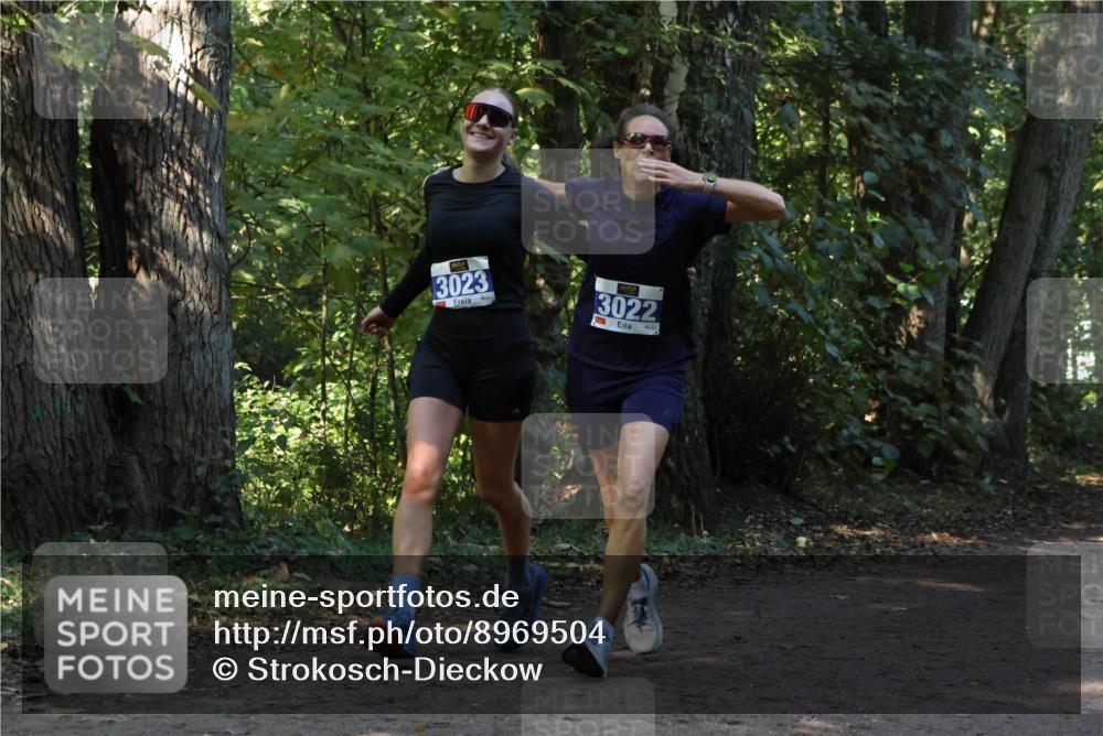 28.09.2025 - 33. Volkslauf durch das schöne Alstertal Strokosch-Dieckow http://msf.ph/oto/8969504 28.09.2025 11:29:14 Laufen 3023, 3022, 1 meine-sportfotos.de