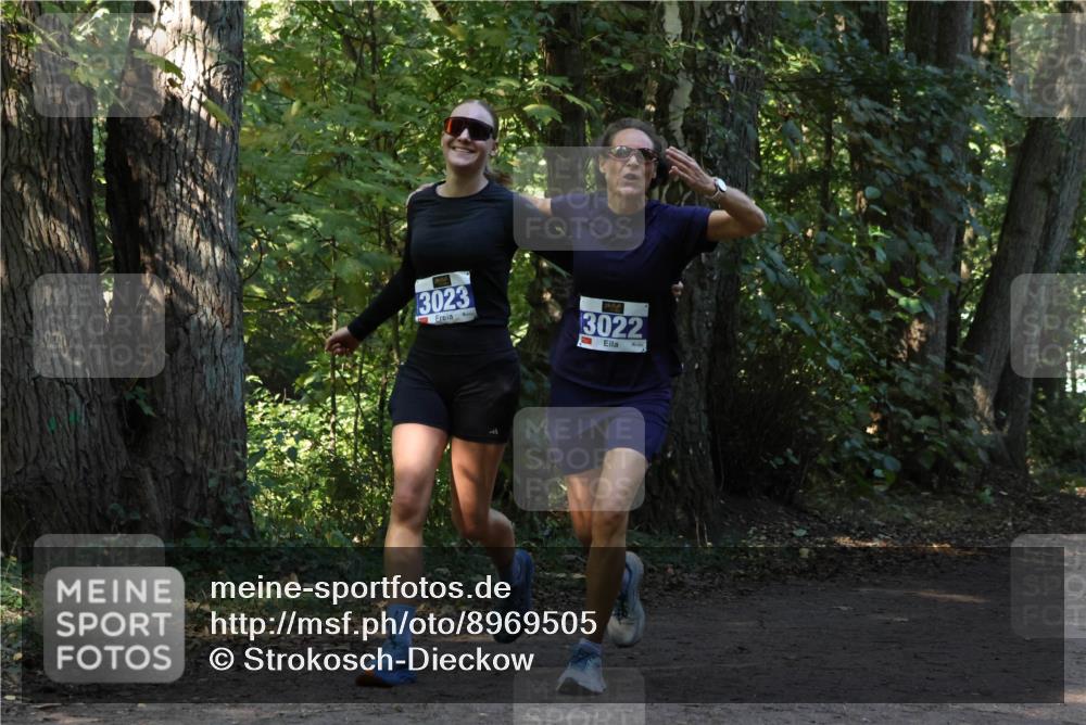 28.09.2025 - 33. Volkslauf durch das schöne Alstertal Strokosch-Dieckow http://msf.ph/oto/8969505 28.09.2025 11:29:14 Laufen 3023, 3022, 2 meine-sportfotos.de