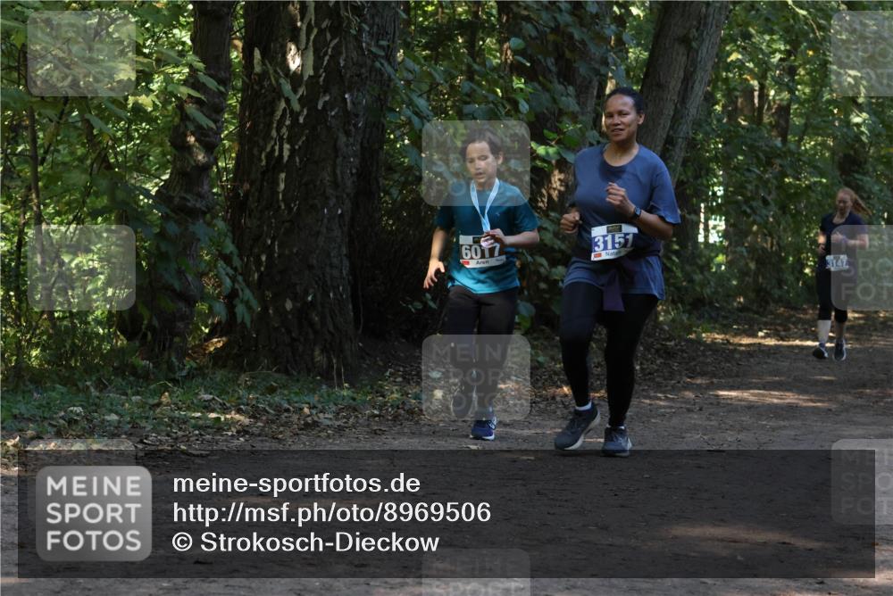 28.09.2025 - 33. Volkslauf durch das schöne Alstertal Strokosch-Dieckow http://msf.ph/oto/8969506 28.09.2025 11:29:18 Laufen 6017, 3151, 3147 meine-sportfotos.de