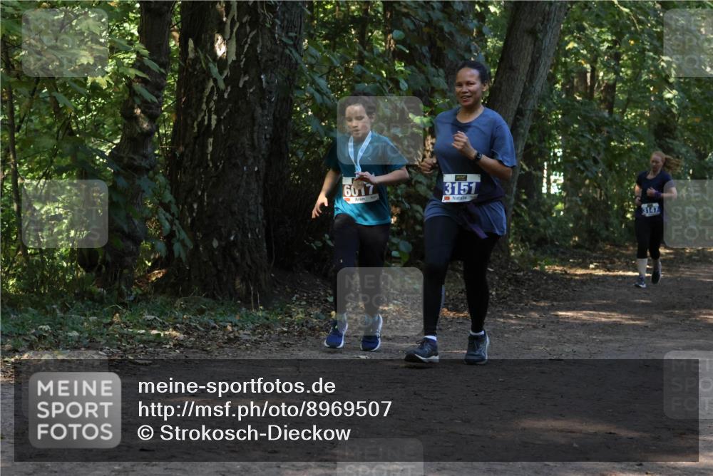 28.09.2025 - 33. Volkslauf durch das schöne Alstertal Strokosch-Dieckow http://msf.ph/oto/8969507 28.09.2025 11:29:18 Laufen 6017, 3151, 3147 meine-sportfotos.de