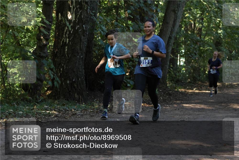 28.09.2025 - 33. Volkslauf durch das schöne Alstertal Strokosch-Dieckow http://msf.ph/oto/8969508 28.09.2025 11:29:18 Laufen 6017, 3151, 3147 meine-sportfotos.de