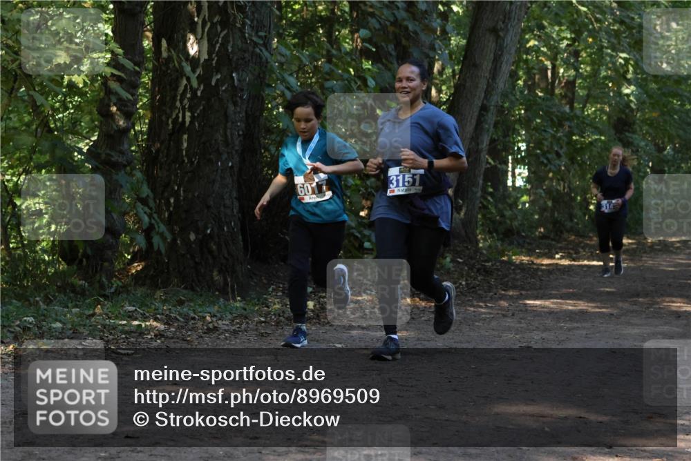 28.09.2025 - 33. Volkslauf durch das schöne Alstertal Strokosch-Dieckow http://msf.ph/oto/8969509 28.09.2025 11:29:18 Laufen 6017, 3151 meine-sportfotos.de