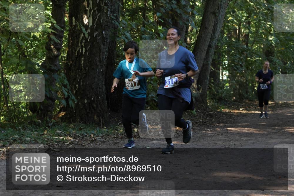 28.09.2025 - 33. Volkslauf durch das schöne Alstertal Strokosch-Dieckow http://msf.ph/oto/8969510 28.09.2025 11:29:18 Laufen 6017, 315, 3147 meine-sportfotos.de