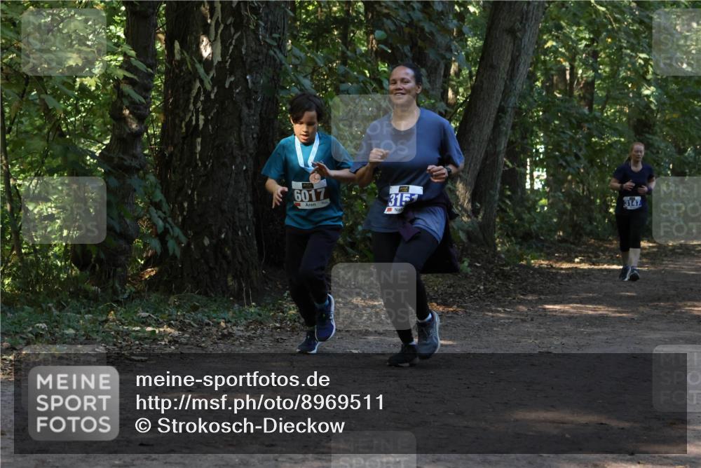 28.09.2025 - 33. Volkslauf durch das schöne Alstertal Strokosch-Dieckow http://msf.ph/oto/8969511 28.09.2025 11:29:19 Laufen 6017, 3147 meine-sportfotos.de