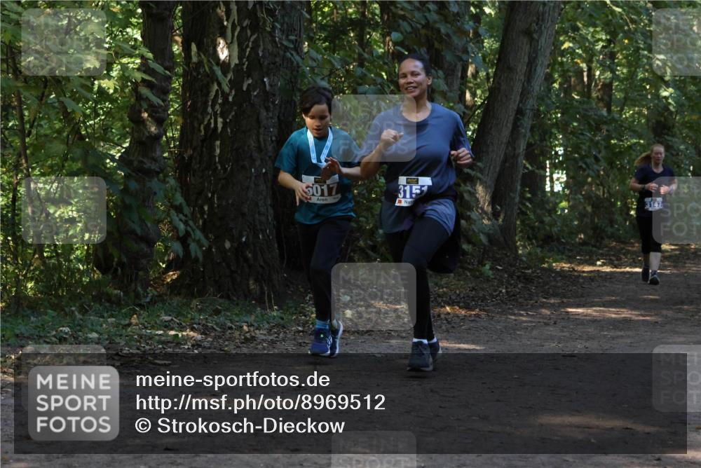 28.09.2025 - 33. Volkslauf durch das schöne Alstertal Strokosch-Dieckow http://msf.ph/oto/8969512 28.09.2025 11:29:19 Laufen 5017, 315, 3147 meine-sportfotos.de