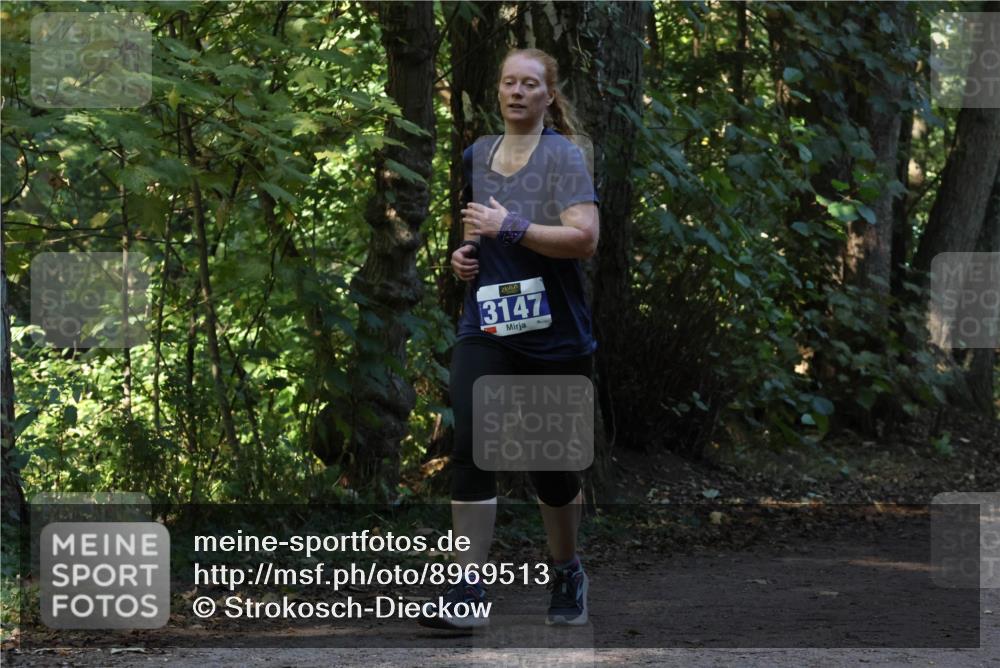 28.09.2025 - 33. Volkslauf durch das schöne Alstertal Strokosch-Dieckow http://msf.ph/oto/8969513 28.09.2025 11:29:25 Laufen 3147 meine-sportfotos.de