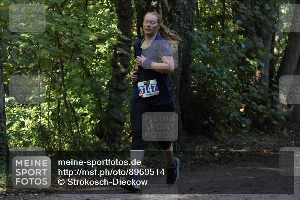 28.09.2025 - 33. Volkslauf durch das schöne Alstertal Strokosch-Dieckow http://msf.ph/oto/8969514 28.09.2025 11:29:25 Laufen 3147 meine-sportfotos.de