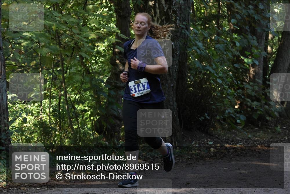 28.09.2025 - 33. Volkslauf durch das schöne Alstertal Strokosch-Dieckow http://msf.ph/oto/8969515 28.09.2025 11:29:25 Laufen 3147 meine-sportfotos.de