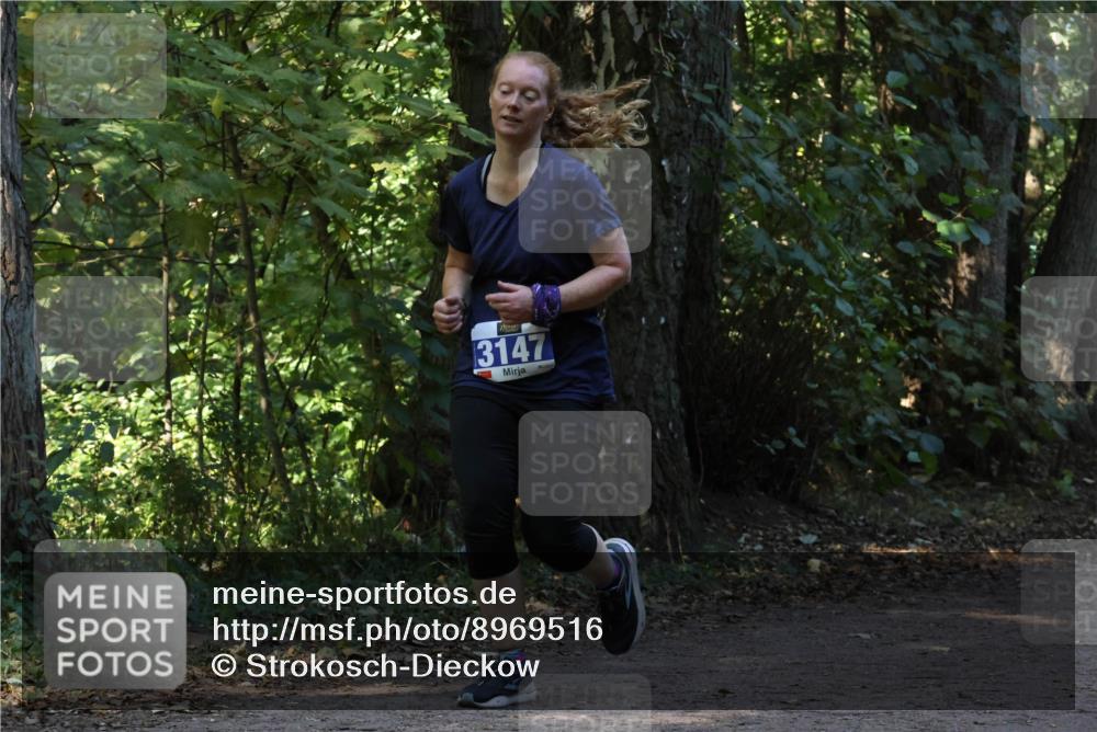 28.09.2025 - 33. Volkslauf durch das schöne Alstertal Strokosch-Dieckow http://msf.ph/oto/8969516 28.09.2025 11:29:26 Laufen 3147 meine-sportfotos.de