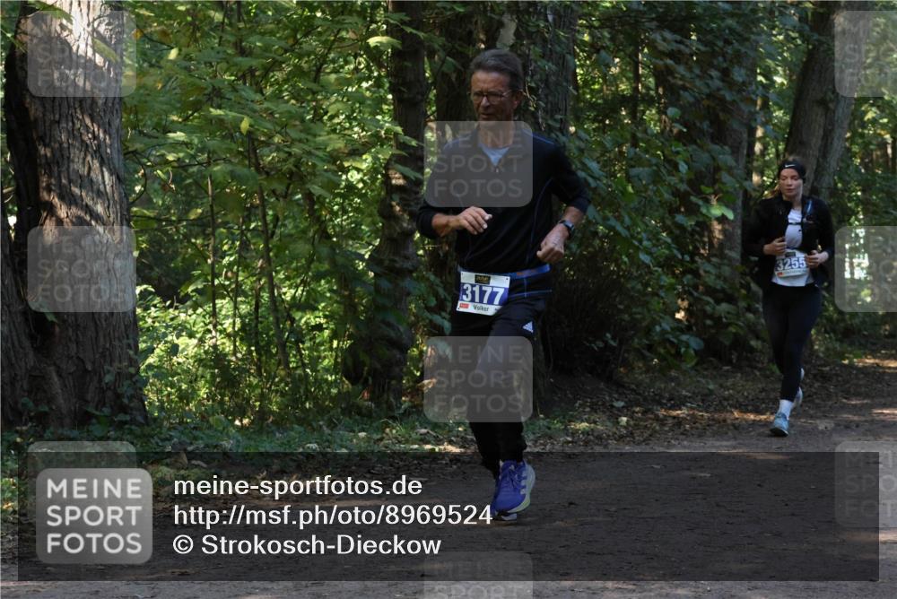 28.09.2025 - 33. Volkslauf durch das schöne Alstertal Strokosch-Dieckow http://msf.ph/oto/8969524 28.09.2025 11:29:55 Laufen 3177, 3255 meine-sportfotos.de