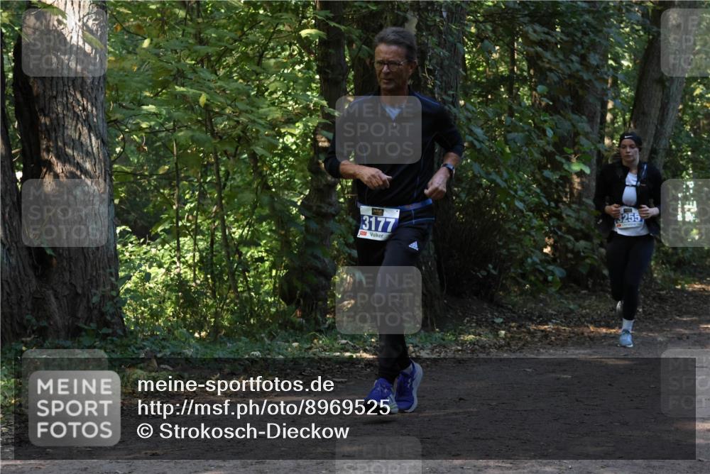 28.09.2025 - 33. Volkslauf durch das schöne Alstertal Strokosch-Dieckow http://msf.ph/oto/8969525 28.09.2025 11:29:55 Laufen 3177, 3255 meine-sportfotos.de