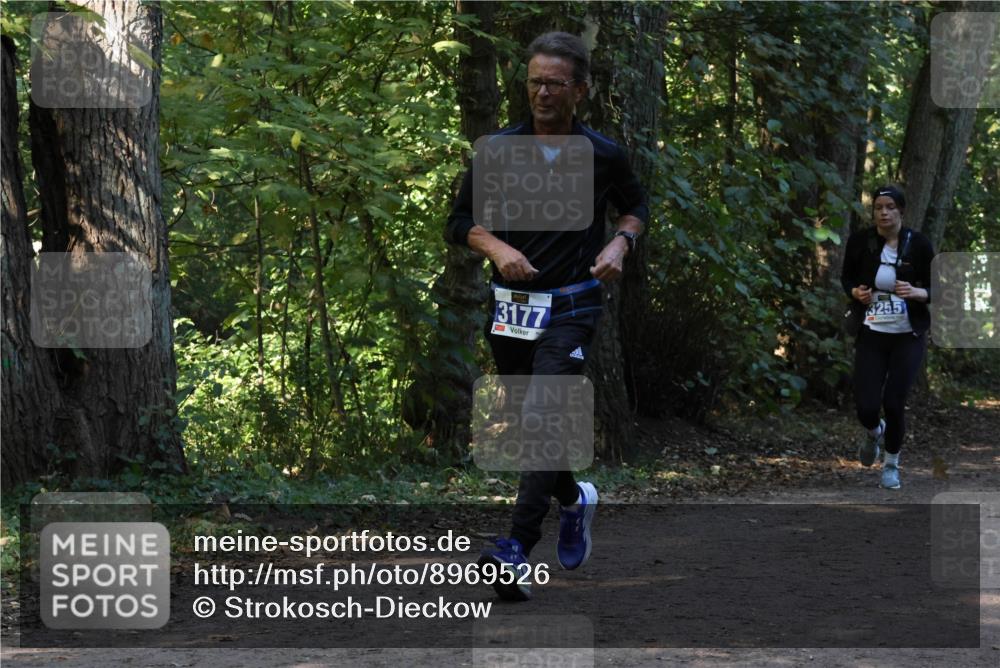 28.09.2025 - 33. Volkslauf durch das schöne Alstertal Strokosch-Dieckow http://msf.ph/oto/8969526 28.09.2025 11:29:55 Laufen 3177, 3255 meine-sportfotos.de