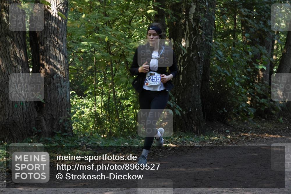 28.09.2025 - 33. Volkslauf durch das schöne Alstertal Strokosch-Dieckow http://msf.ph/oto/8969527 28.09.2025 11:29:57 Laufen 3255 meine-sportfotos.de