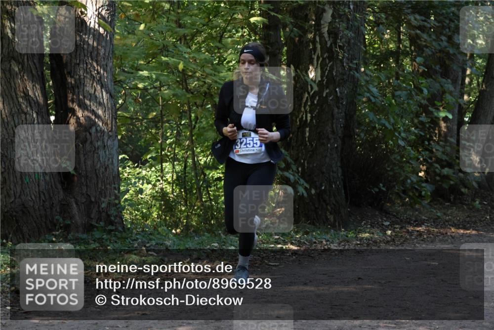 28.09.2025 - 33. Volkslauf durch das schöne Alstertal Strokosch-Dieckow http://msf.ph/oto/8969528 28.09.2025 11:29:57 Laufen 3255 meine-sportfotos.de