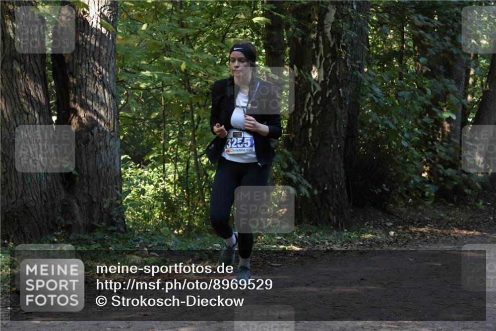 28.09.2025 - 33. Volkslauf durch das schöne Alstertal Strokosch-Dieckow http://msf.ph/oto/8969529 28.09.2025 11:29:57 Laufen 3255 meine-sportfotos.de