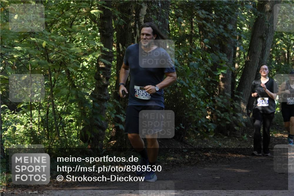 28.09.2025 - 33. Volkslauf durch das schöne Alstertal Strokosch-Dieckow http://msf.ph/oto/8969530 28.09.2025 11:30:01 Laufen 3955, 3346, 306 meine-sportfotos.de