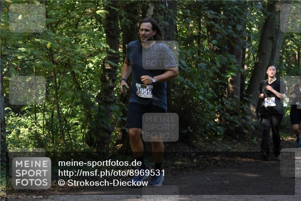 28.09.2025 - 33. Volkslauf durch das schöne Alstertal Strokosch-Dieckow http://msf.ph/oto/8969531 28.09.2025 11:30:01 Laufen 3959, 3346, 30 meine-sportfotos.de