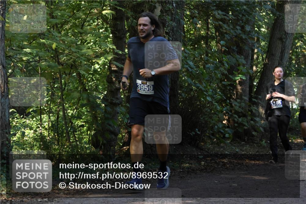 28.09.2025 - 33. Volkslauf durch das schöne Alstertal Strokosch-Dieckow http://msf.ph/oto/8969532 28.09.2025 11:30:01 Laufen 3959, 3346 meine-sportfotos.de