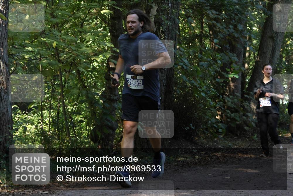 28.09.2025 - 33. Volkslauf durch das schöne Alstertal Strokosch-Dieckow http://msf.ph/oto/8969533 28.09.2025 11:30:01 Laufen 3959 meine-sportfotos.de