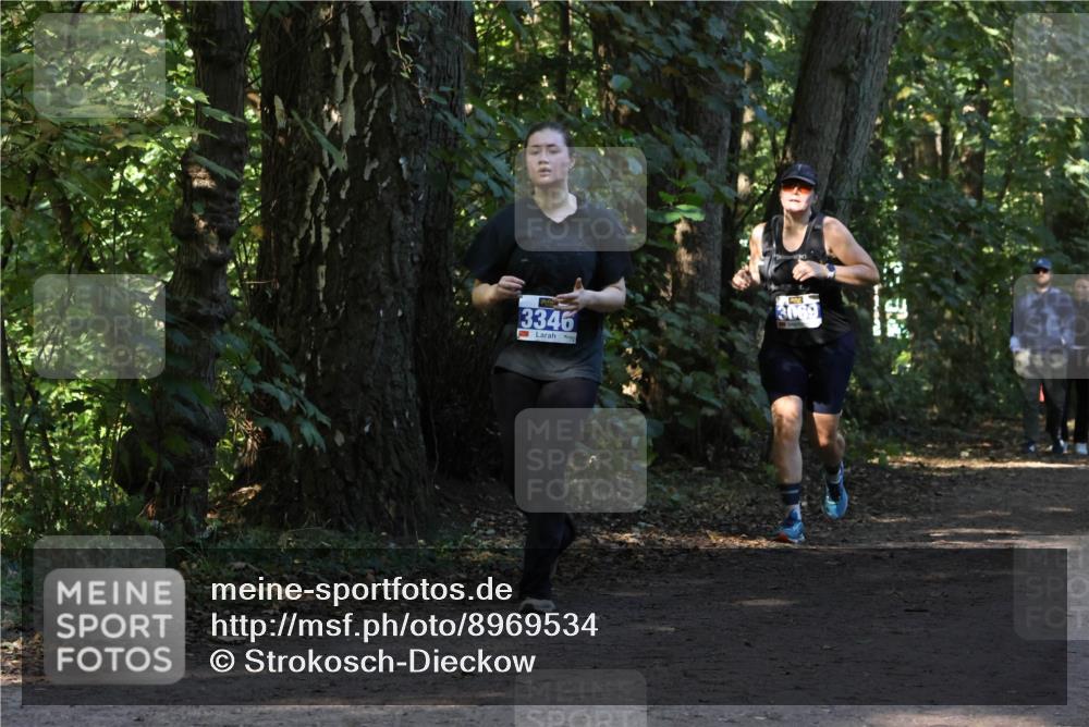 28.09.2025 - 33. Volkslauf durch das schöne Alstertal Strokosch-Dieckow http://msf.ph/oto/8969534 28.09.2025 11:30:03 Laufen 3346, 3069 meine-sportfotos.de