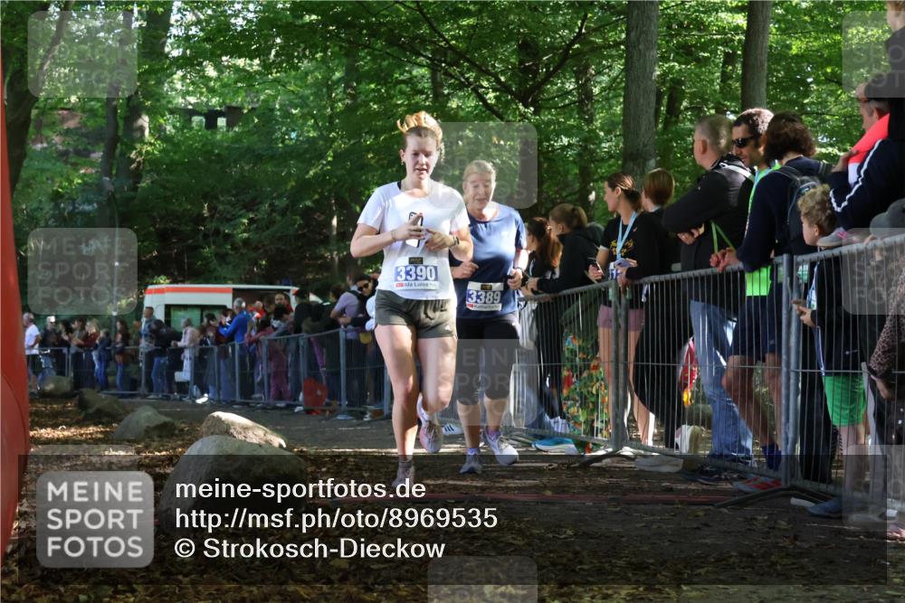28.09.2025 - 33. Volkslauf durch das schöne Alstertal Strokosch-Dieckow http://msf.ph/oto/8969535 28.09.2025 11:50:16 Ziel 1614, 3389, 3390 meine-sportfotos.de