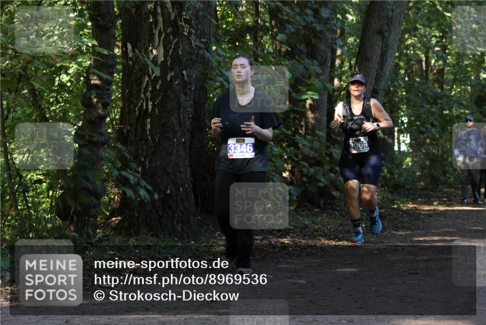 28.09.2025 - 33. Volkslauf durch das schöne Alstertal Strokosch-Dieckow http://msf.ph/oto/8969536 28.09.2025 11:30:03 Laufen 3346, 069 meine-sportfotos.de