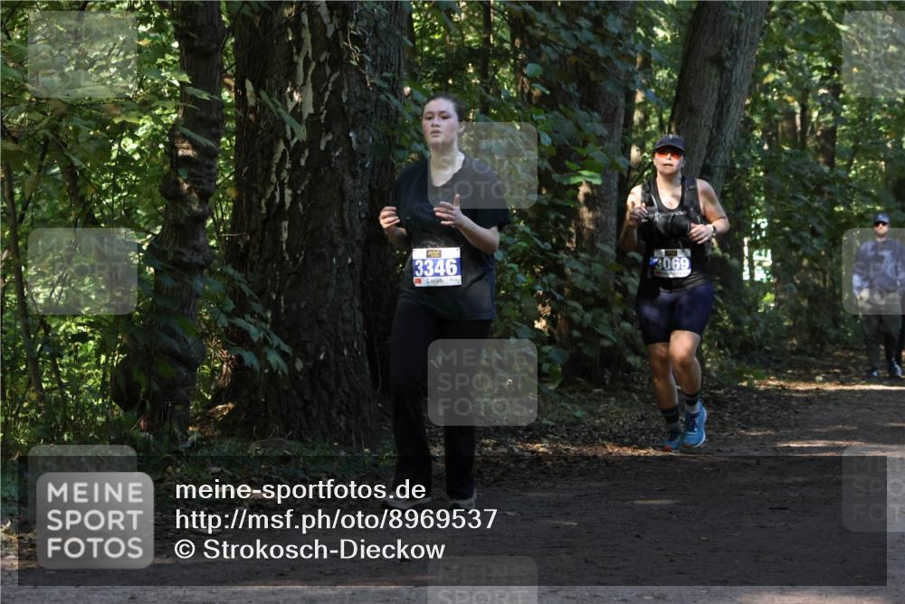 28.09.2025 - 33. Volkslauf durch das schöne Alstertal Strokosch-Dieckow http://msf.ph/oto/8969537 28.09.2025 11:30:03 Laufen 3346, 3069 meine-sportfotos.de