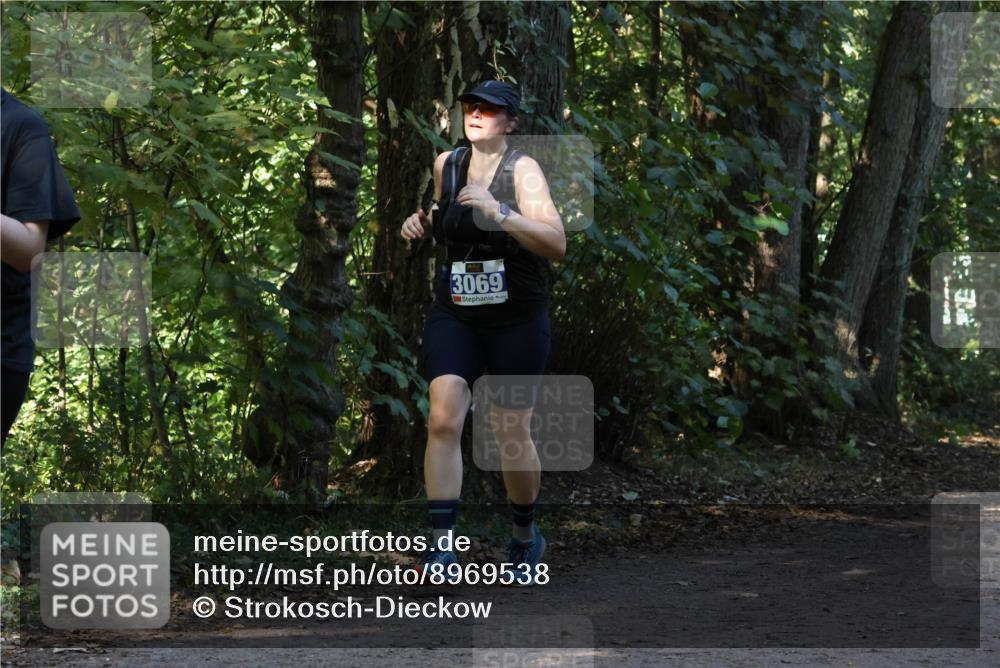 28.09.2025 - 33. Volkslauf durch das schöne Alstertal Strokosch-Dieckow http://msf.ph/oto/8969538 28.09.2025 11:30:05 Laufen 3069 meine-sportfotos.de