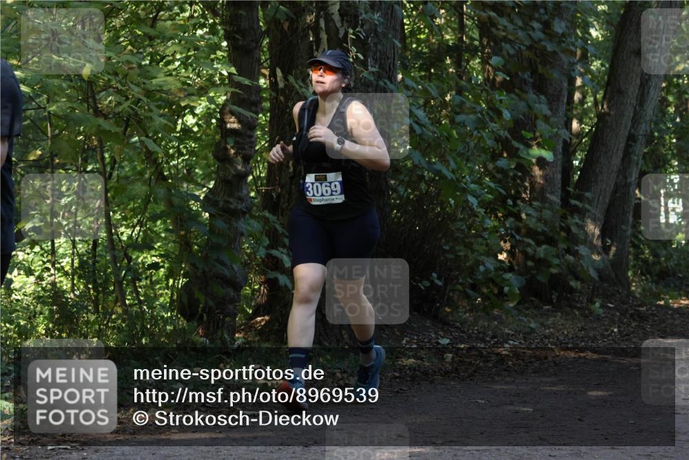 28.09.2025 - 33. Volkslauf durch das schöne Alstertal Strokosch-Dieckow http://msf.ph/oto/8969539 28.09.2025 11:30:05 Laufen 3069 meine-sportfotos.de
