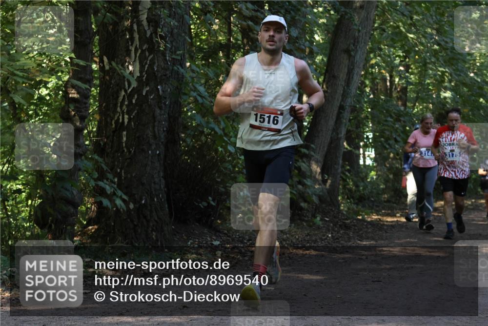28.09.2025 - 33. Volkslauf durch das schöne Alstertal Strokosch-Dieckow http://msf.ph/oto/8969540 28.09.2025 11:30:08 Laufen 1516, 314, 3175 meine-sportfotos.de
