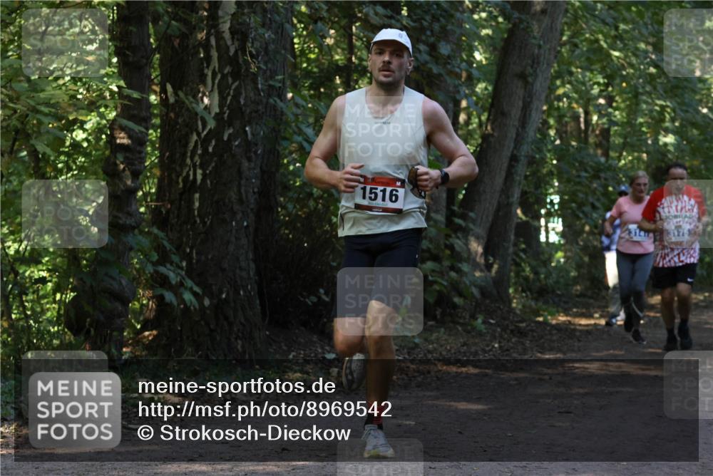 28.09.2025 - 33. Volkslauf durch das schöne Alstertal Strokosch-Dieckow http://msf.ph/oto/8969542 28.09.2025 11:30:08 Laufen 1516 meine-sportfotos.de