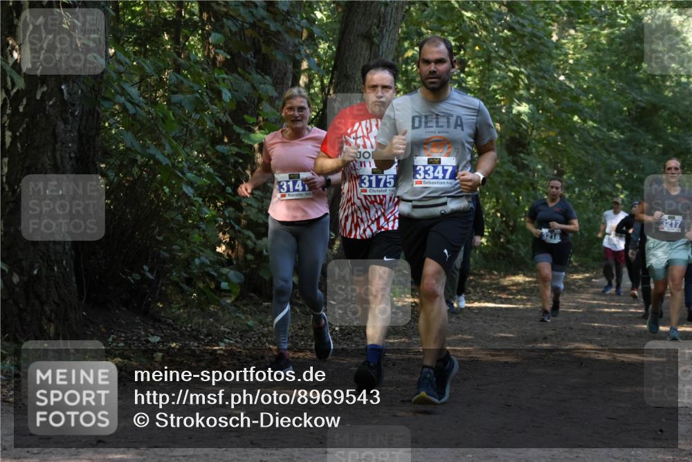 28.09.2025 - 33. Volkslauf durch das schöne Alstertal Strokosch-Dieckow http://msf.ph/oto/8969543 28.09.2025 11:30:11 Laufen 314, 3, 3175, 3347, 3217 meine-sportfotos.de