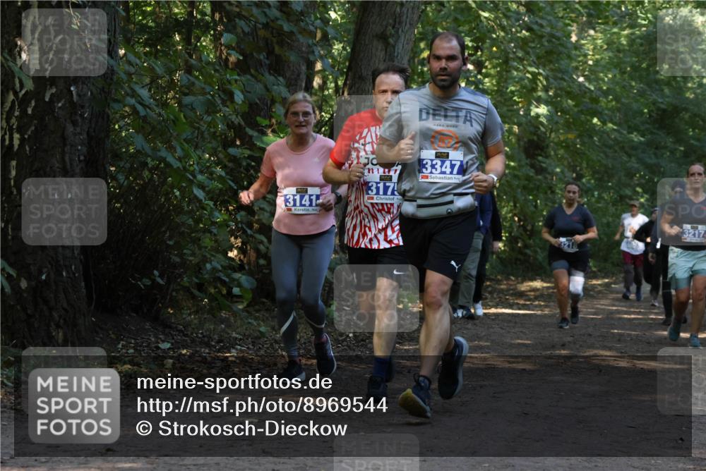 28.09.2025 - 33. Volkslauf durch das schöne Alstertal Strokosch-Dieckow http://msf.ph/oto/8969544 28.09.2025 11:30:11 Laufen 3141, 317, 3347, 3217 meine-sportfotos.de