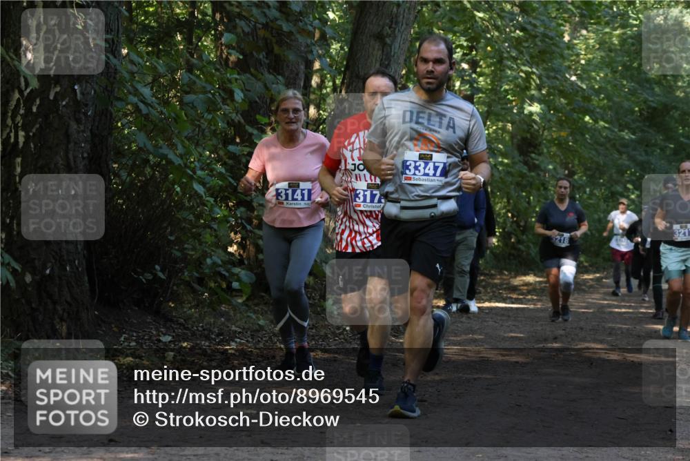 28.09.2025 - 33. Volkslauf durch das schöne Alstertal Strokosch-Dieckow http://msf.ph/oto/8969545 28.09.2025 11:30:11 Laufen 3141, 317, 1, 3347, 321, 218 meine-sportfotos.de