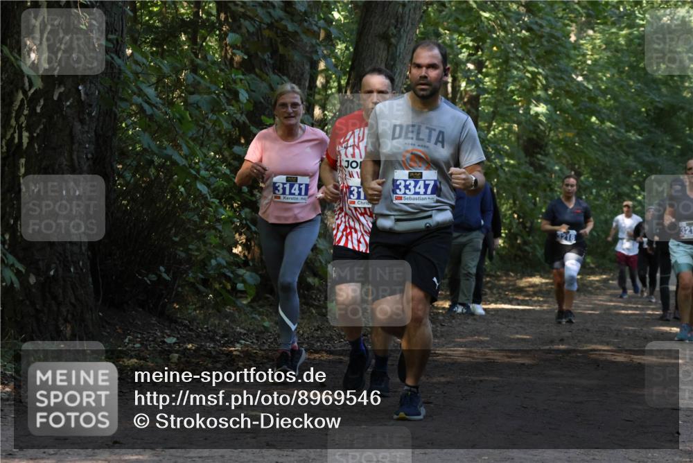 28.09.2025 - 33. Volkslauf durch das schöne Alstertal Strokosch-Dieckow http://msf.ph/oto/8969546 28.09.2025 11:30:11 Laufen 3141, 31, 3347, 3218 meine-sportfotos.de