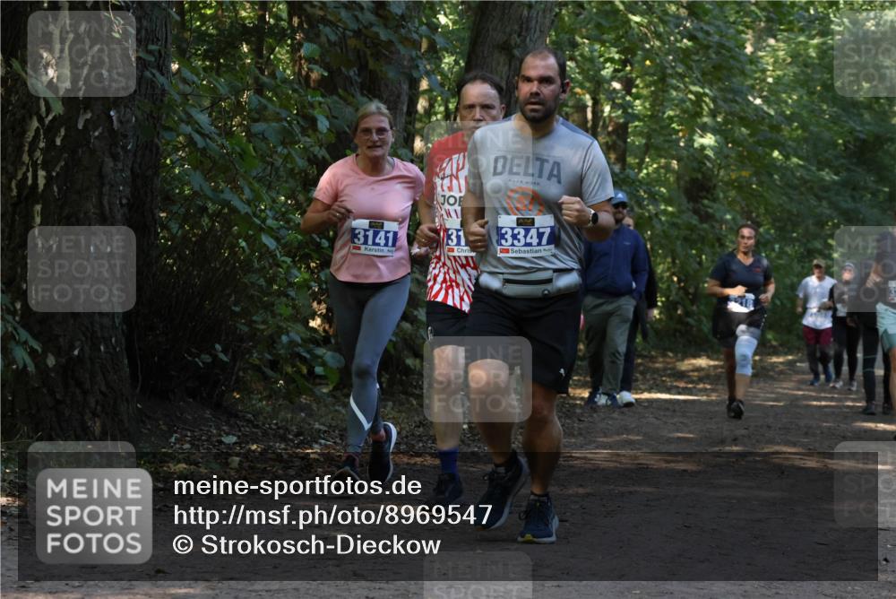 28.09.2025 - 33. Volkslauf durch das schöne Alstertal Strokosch-Dieckow http://msf.ph/oto/8969547 28.09.2025 11:30:11 Laufen 3141, 31, 3347 meine-sportfotos.de