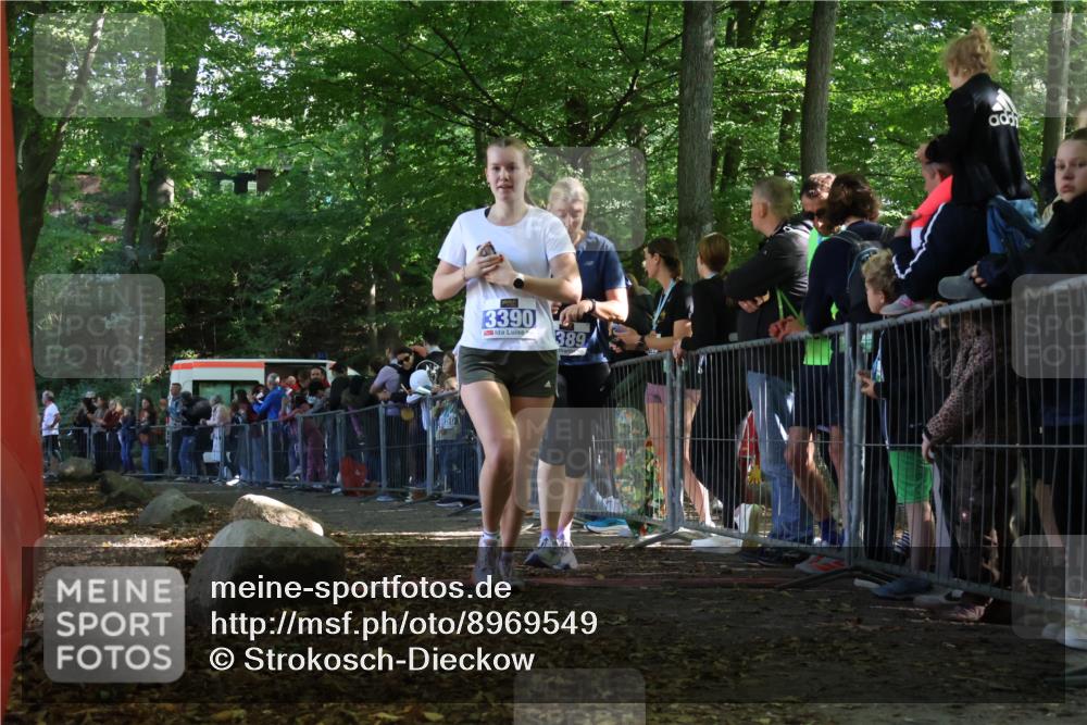 28.09.2025 - 33. Volkslauf durch das schöne Alstertal Strokosch-Dieckow http://msf.ph/oto/8969549 28.09.2025 11:50:16 Ziel 1614, 3389, 3390 meine-sportfotos.de