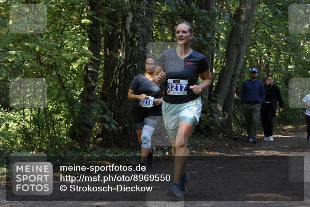 28.09.2025 - 33. Volkslauf durch das schöne Alstertal Strokosch-Dieckow http://msf.ph/oto/8969550 28.09.2025 11:30:18 Laufen 3218, 3217 meine-sportfotos.de