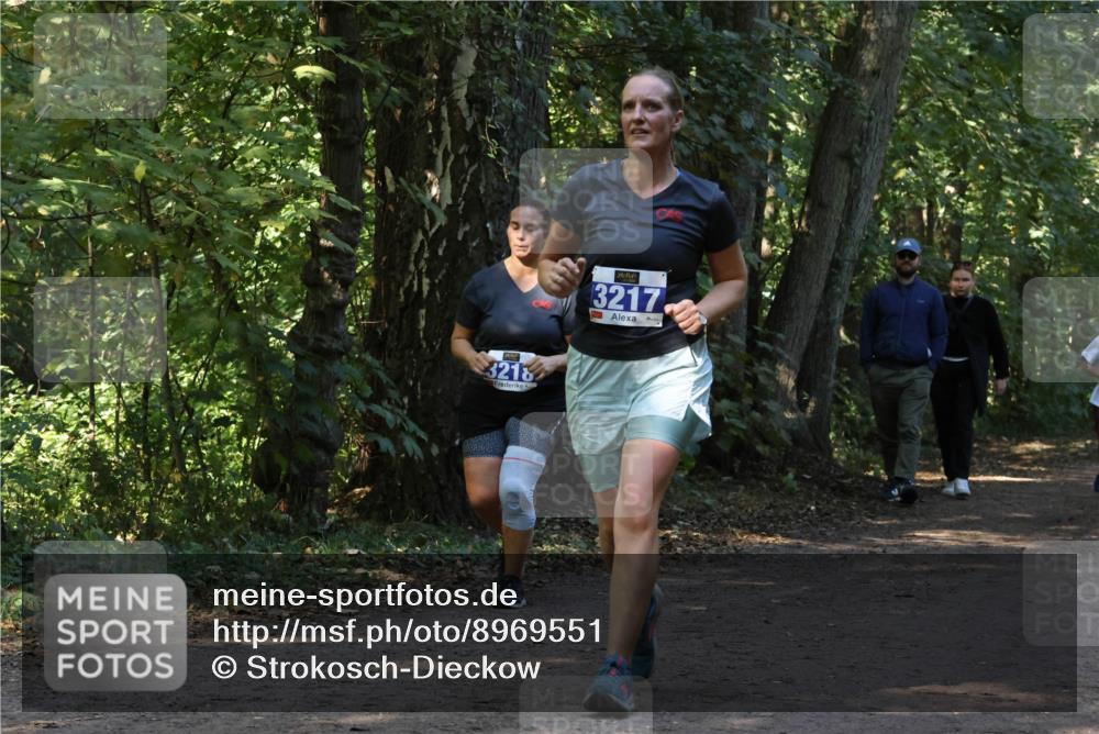 28.09.2025 - 33. Volkslauf durch das schöne Alstertal Strokosch-Dieckow http://msf.ph/oto/8969551 28.09.2025 11:30:18 Laufen 3218, 3217 meine-sportfotos.de